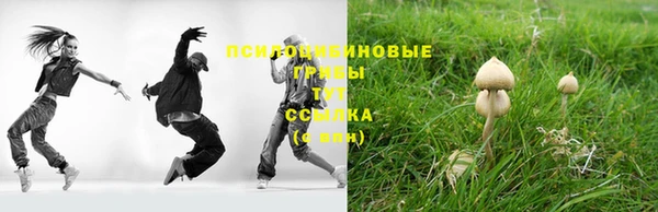 СК Осинники