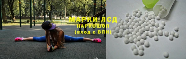 СК Осинники