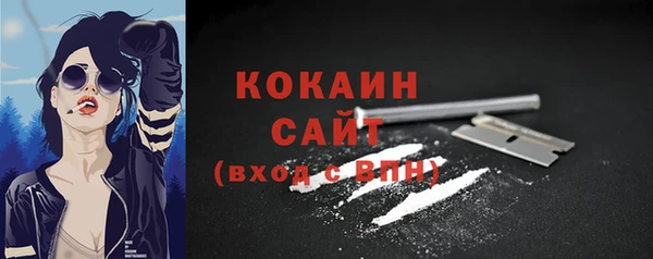 СК Осинники