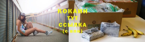 бошки Осташков