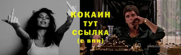 СК Осинники