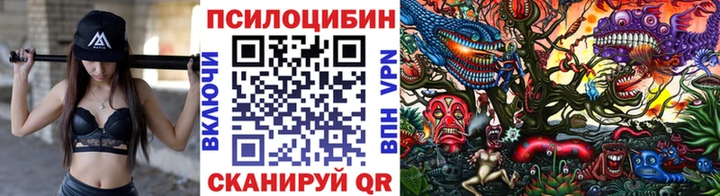это наркотические препараты  KRAKEN tor  Петропавловск-Камчатский  сколько стоит  Галлюциногенные грибы ЛСД 