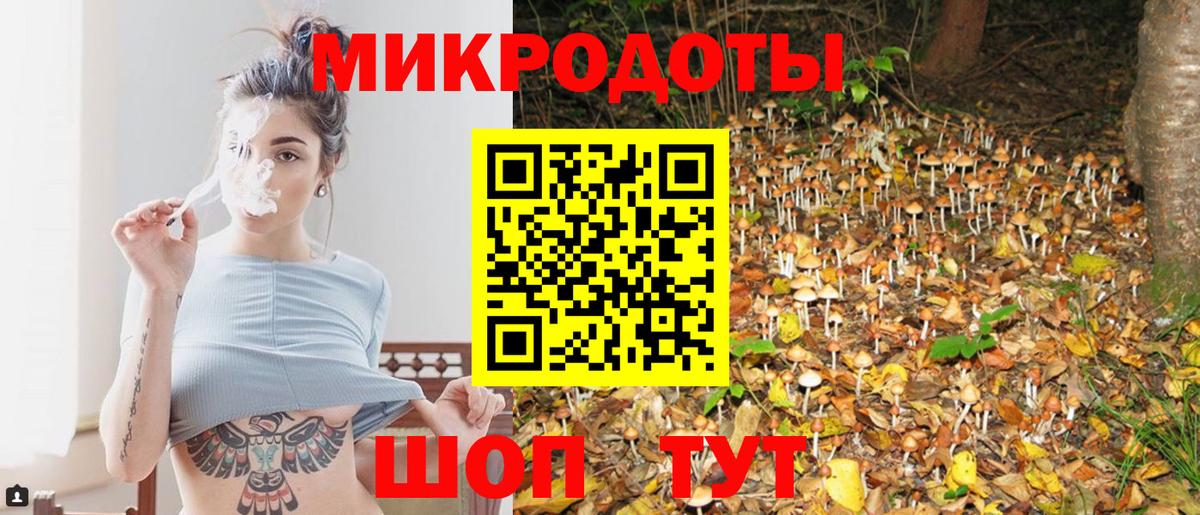 Псилоцибиновые грибы Cubensis  Петропавловск-Камчатский 