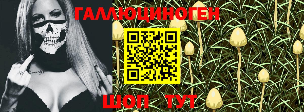 Псилоцибиновые грибы мицелий  Галлюциногенные грибы GOLDEN TEACHER  Вход с VPN  Петропавловск-Камчатский 