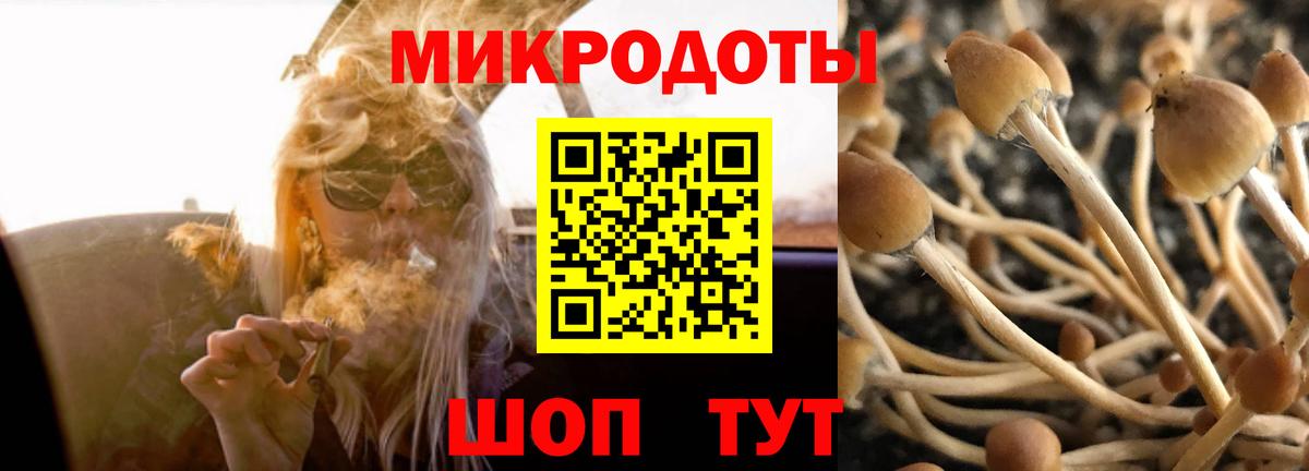 Псилоцибиновые грибы мицелий Петропавловск-Камчатский