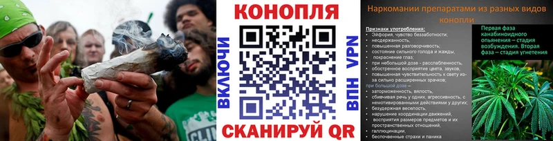 кракен Петропавловск-Камчатский Бошки Шишки LSD WEED